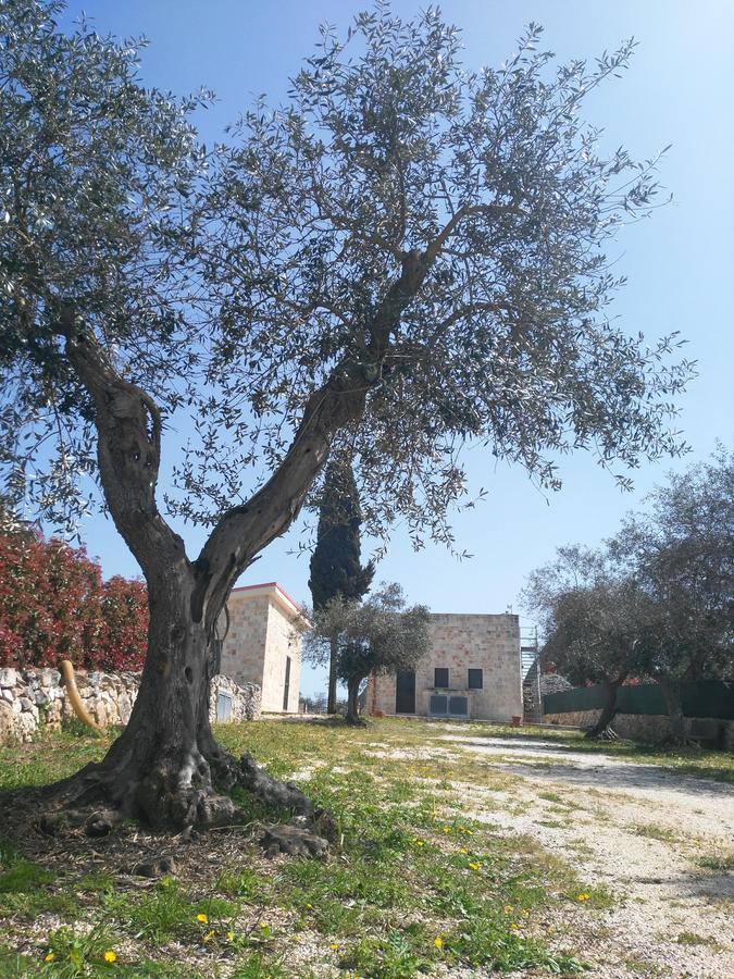 Trulli Pietra Preziosa Hotel Martina Franca Eksteriør billede